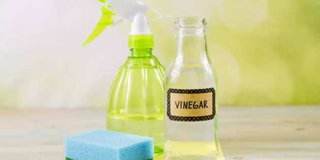 vinegar disinfectant